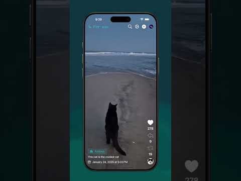 Short Videos app for Bluesky gallery image