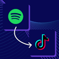 Turn Your Podcast Into Shortform TikToks