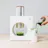 Cuzen Matcha Starter Kit