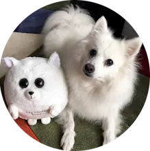 Waggables gallery image