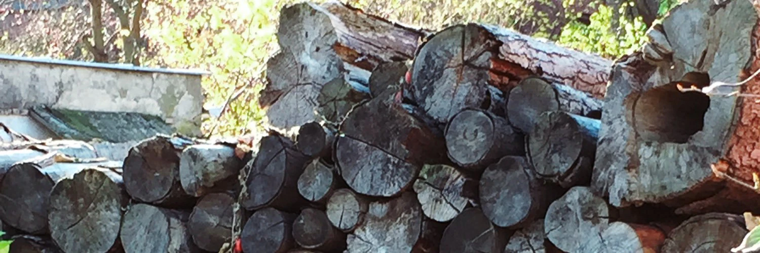 Blokh Aleksandr cover