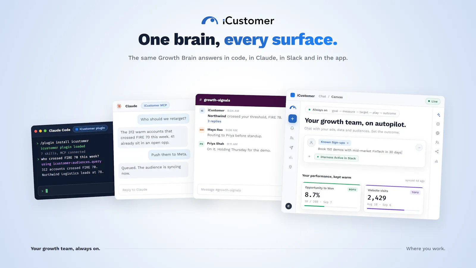 iCustomer Growth Brain screenshot 2