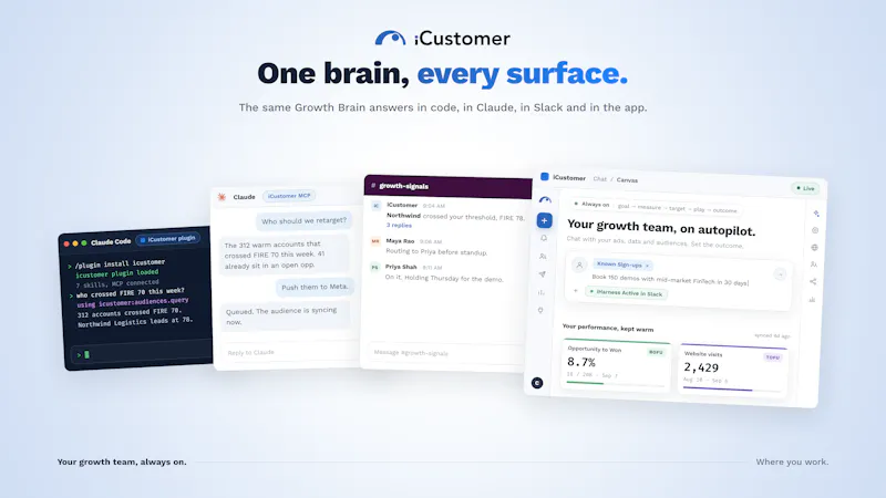 iCustomer Growth Brain screenshot 2
