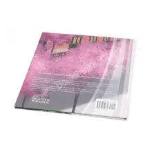 Custom Children's Board Book Printing gallery image