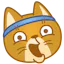 Cat Coach