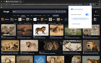 Pre-AI Search gallery image