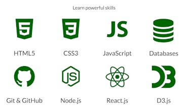 freeCodeCamp.org gallery image