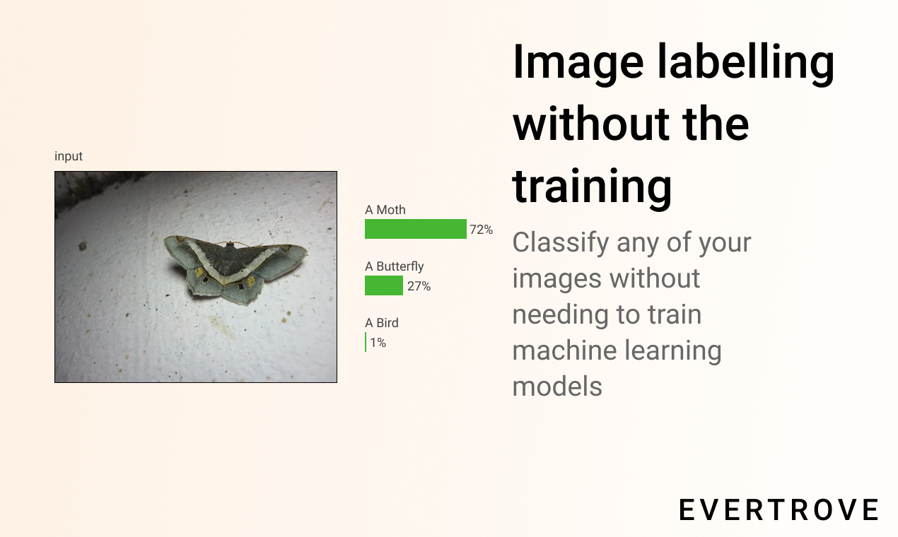 Evertrove gallery image