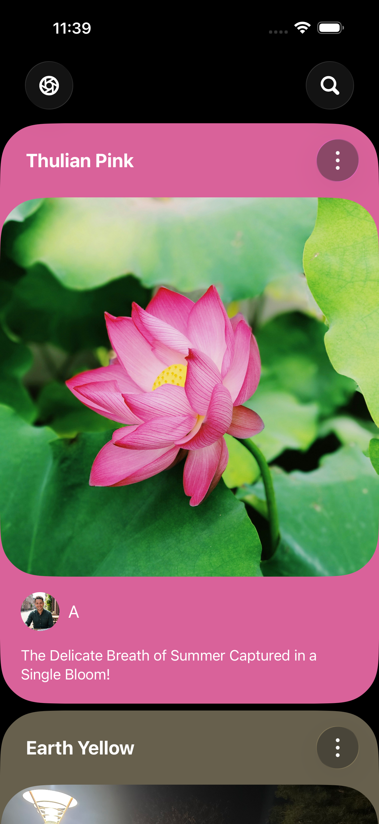 Paletty gallery image