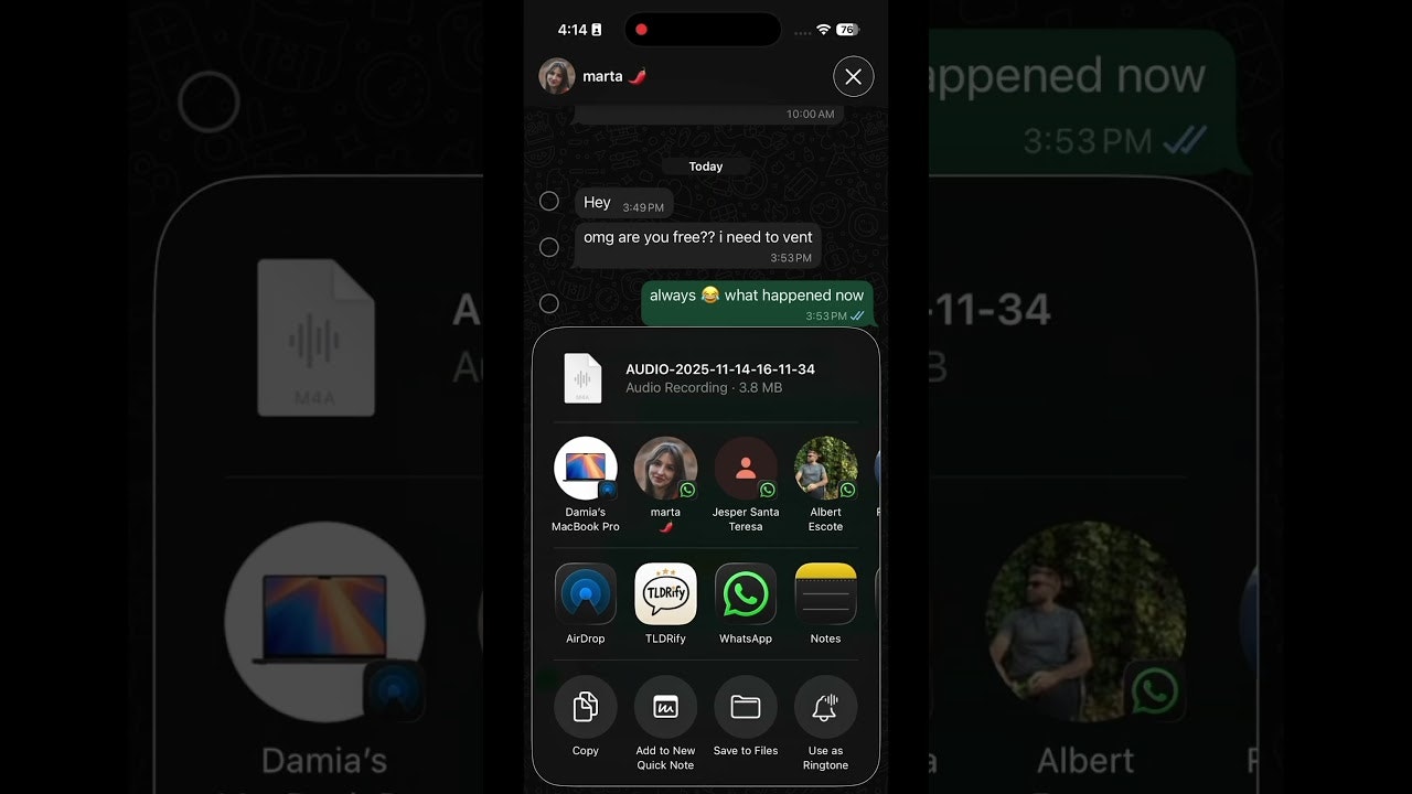 TLDRify: Summarize Voice Notes gallery image