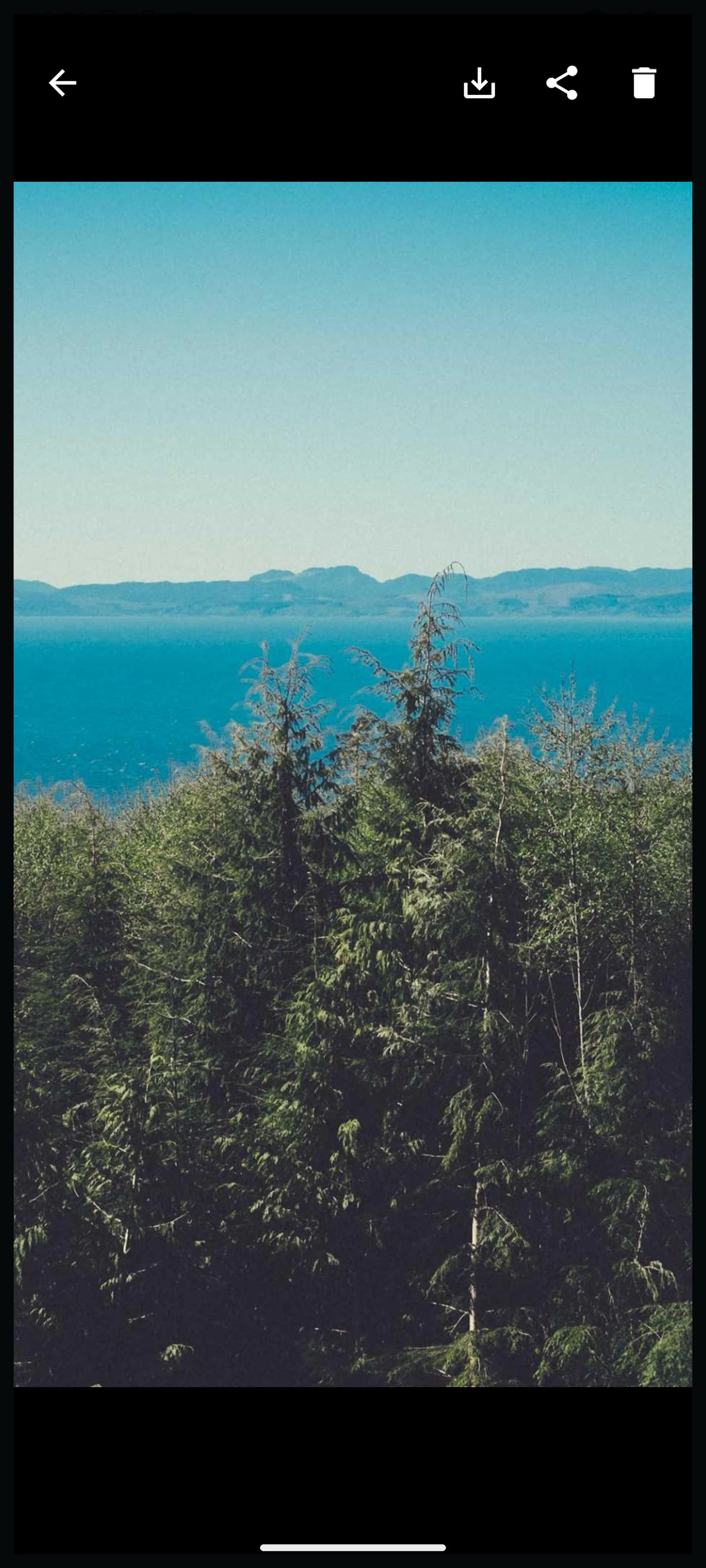 LockLens: Private Photo Vault screenshot 7