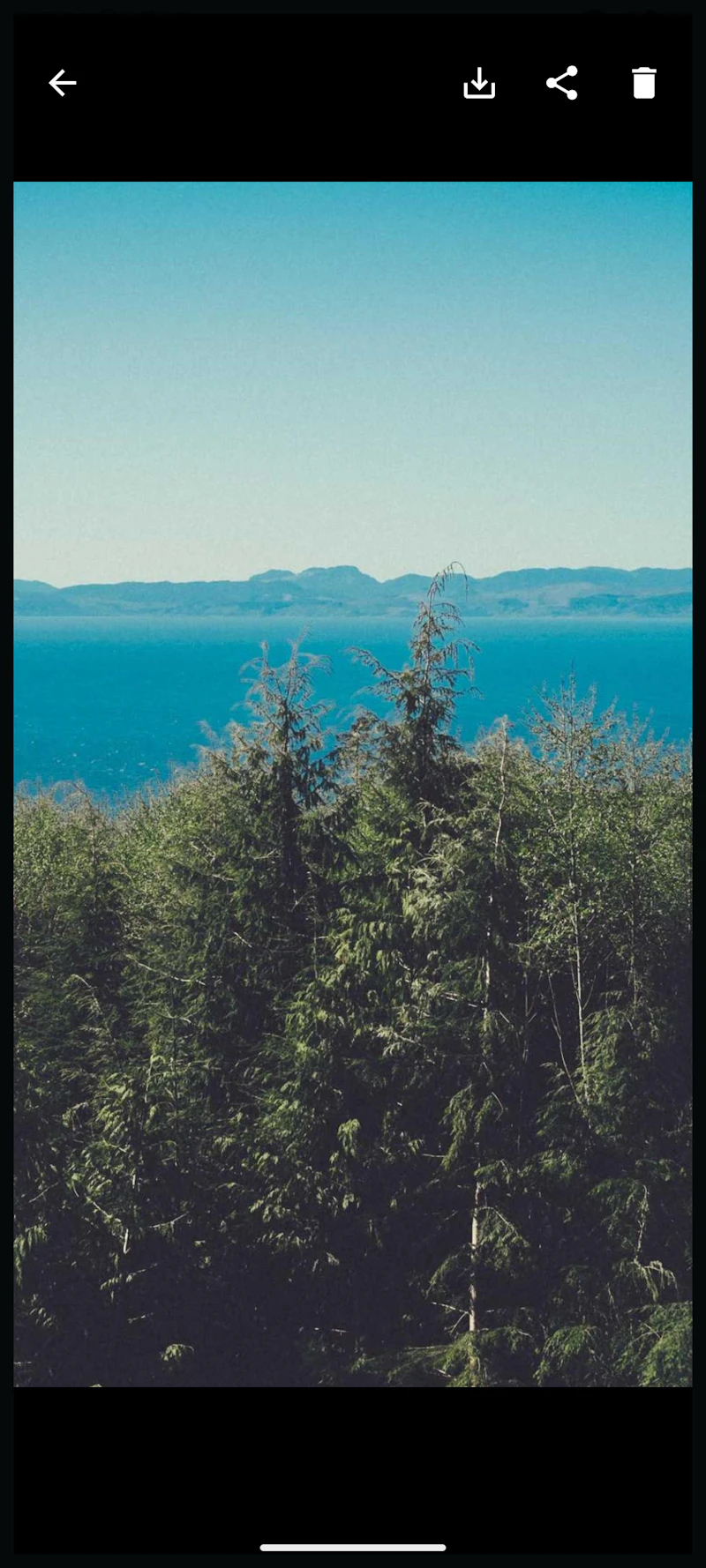 LockLens: Private Photo Vault screenshot 7