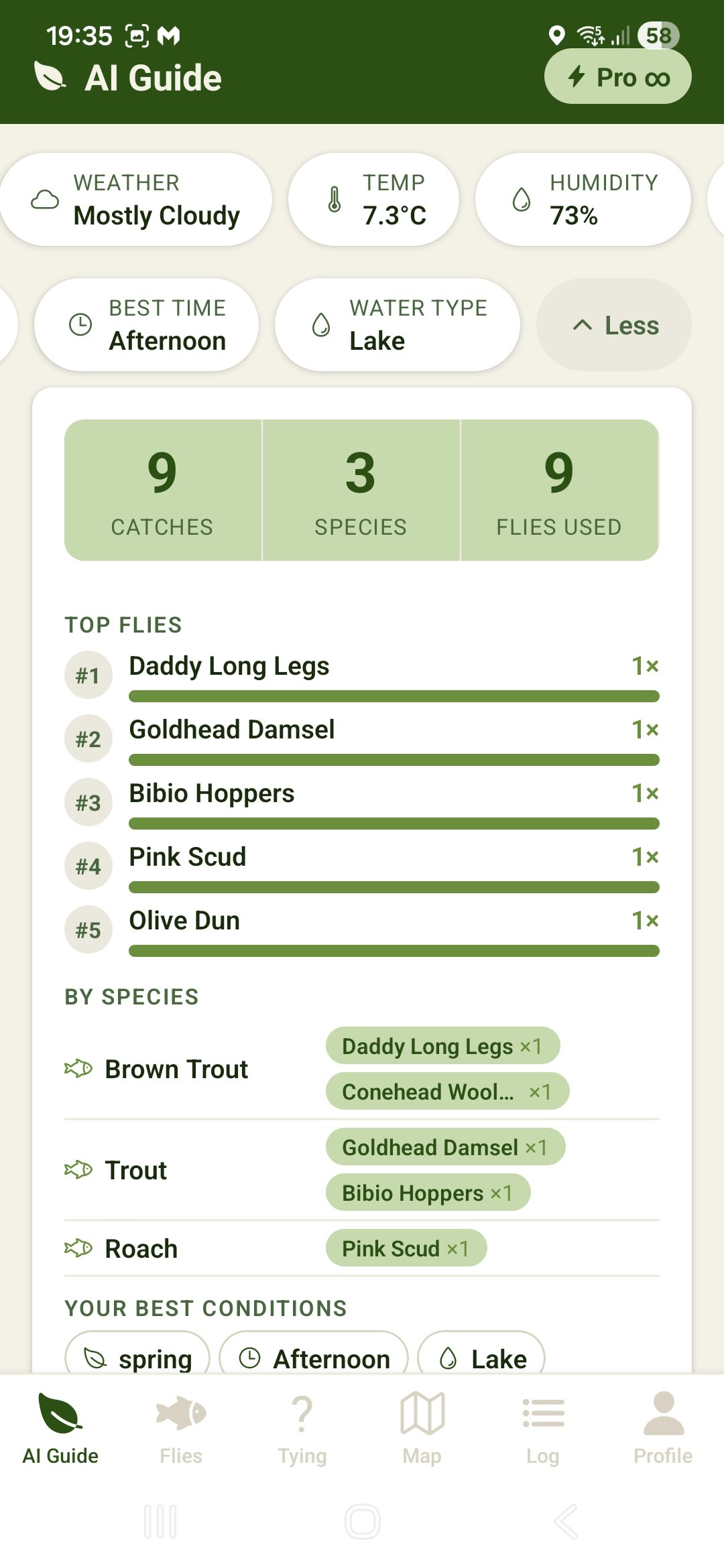 Hooked on Flies gallery image