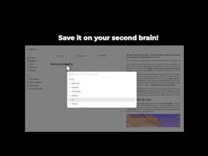 Mind Net gallery image