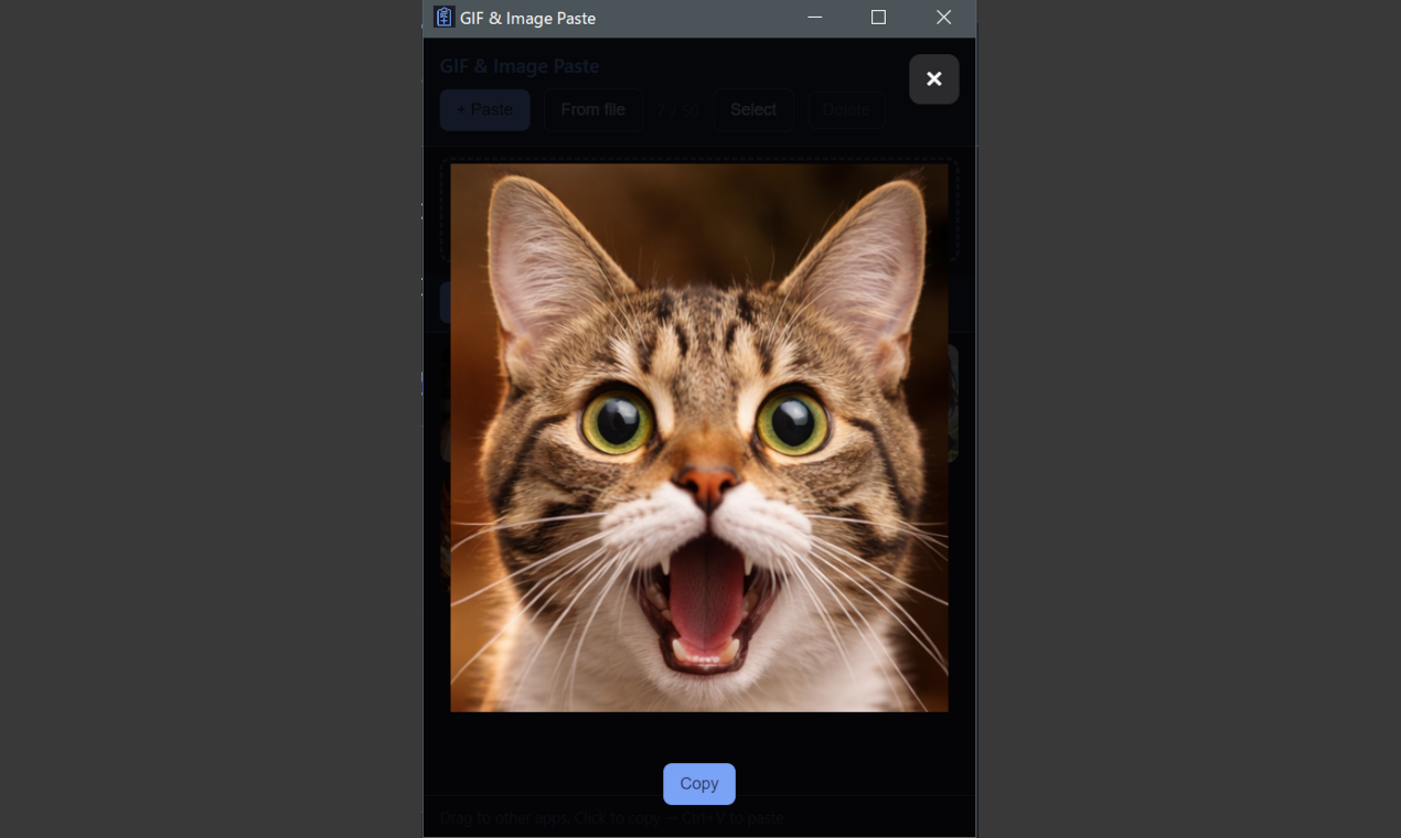 GIF & Image Paste gallery image
