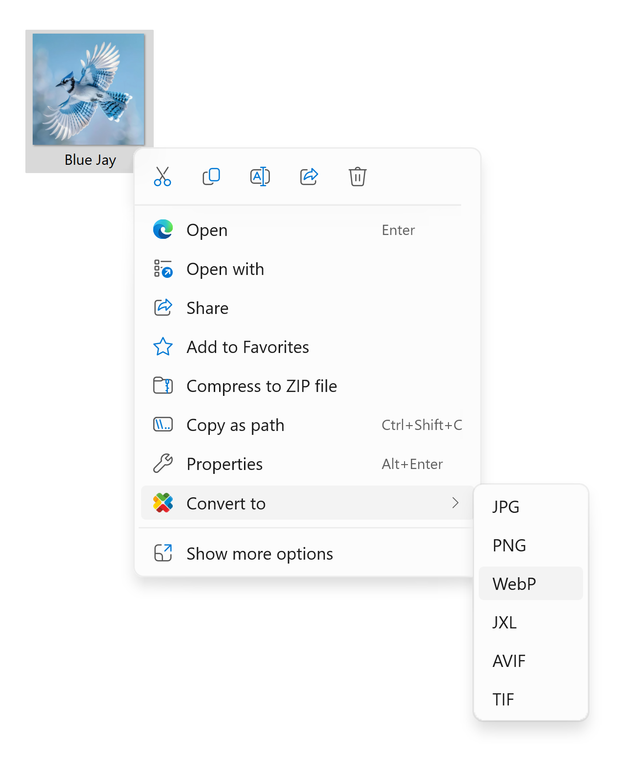 reaConverter Lite - Free, Fast & Modern Image Converter for Windows. media 2