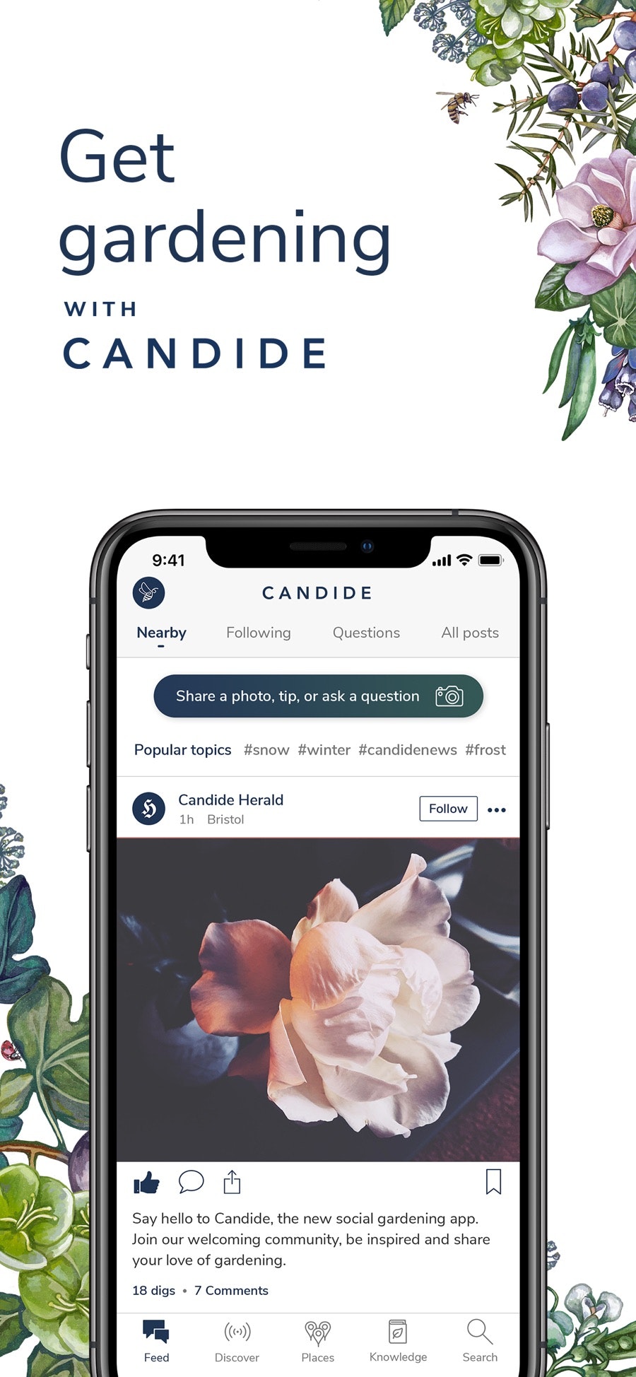 Candide gallery image