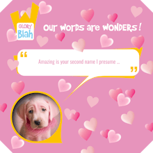 BLAHVO gallery image