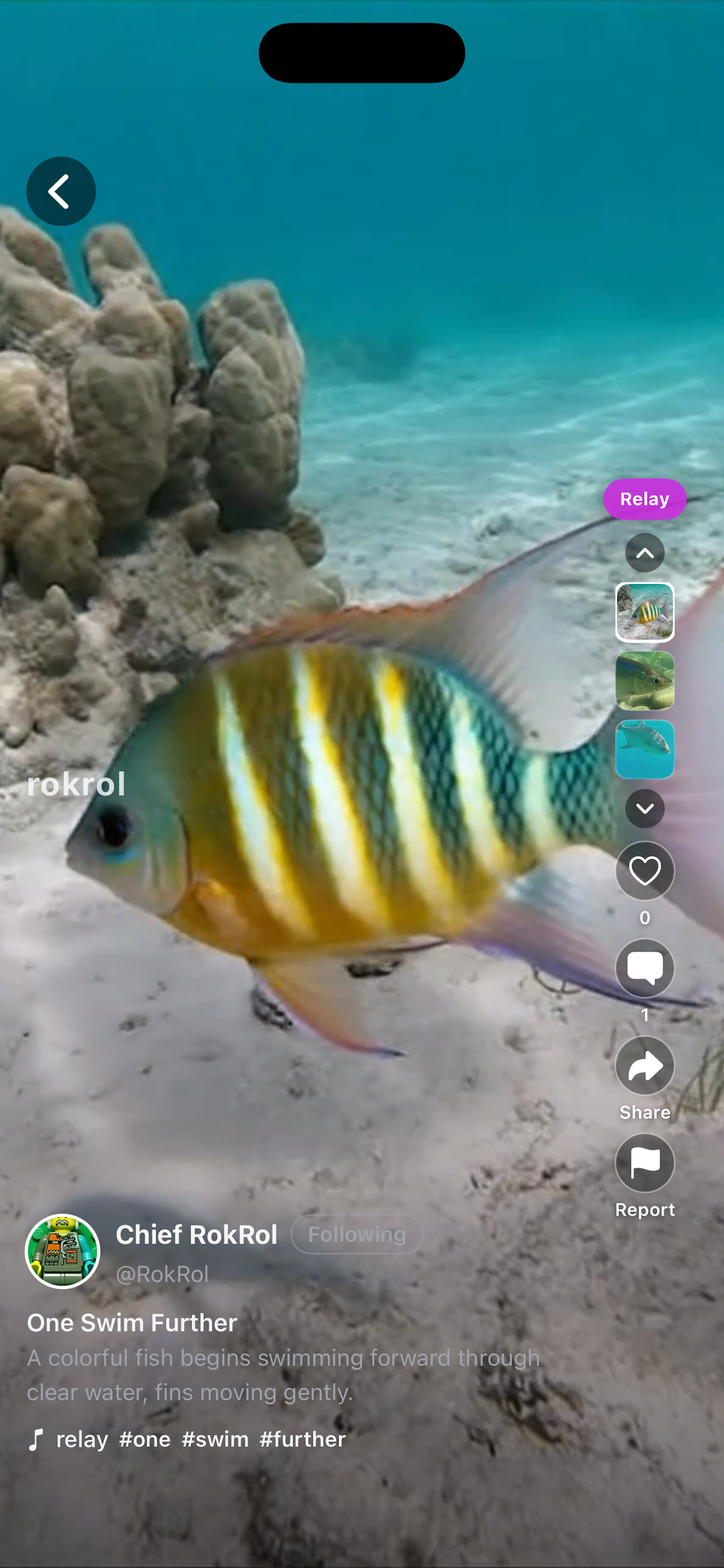 RokRol - Screenshot 4 showing product features and functionality