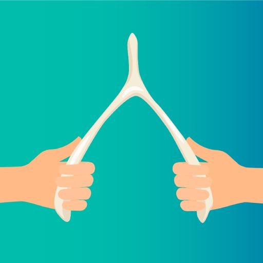 Wishbone Snap on iOS - Product Hunt launch logo