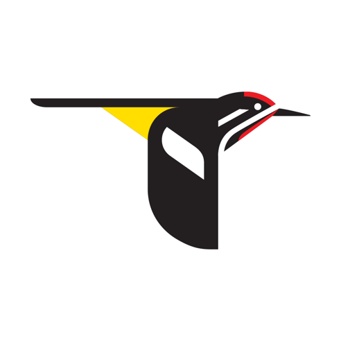 Merlin Bird ID logo