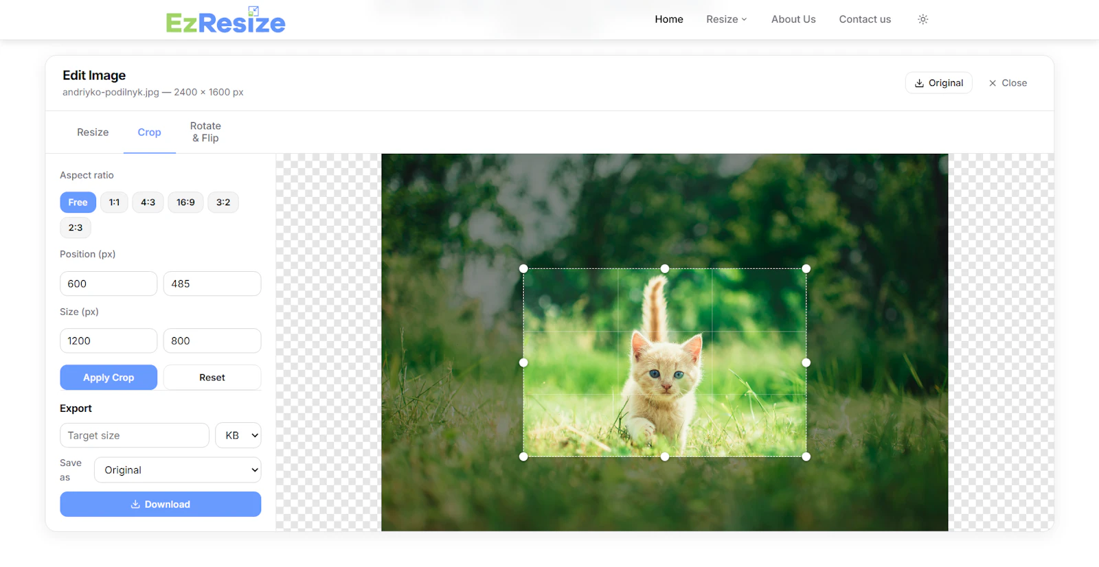 Free Image Resizer Online screenshot 4