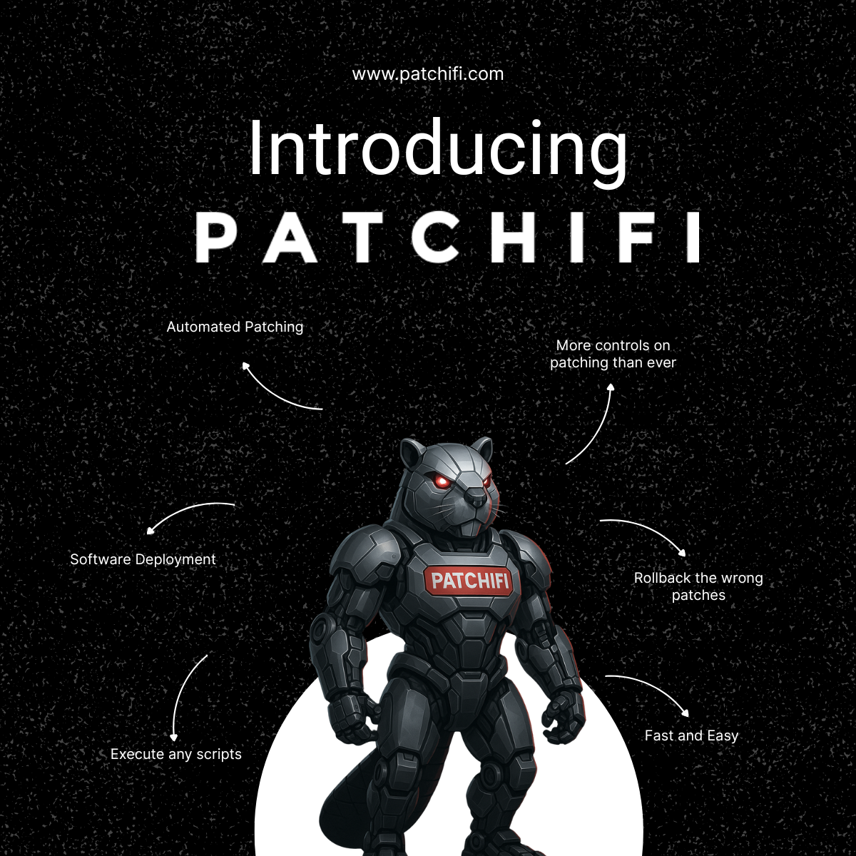 Patchifi gallery image