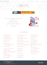 Dokky Bookcase Script gallery image