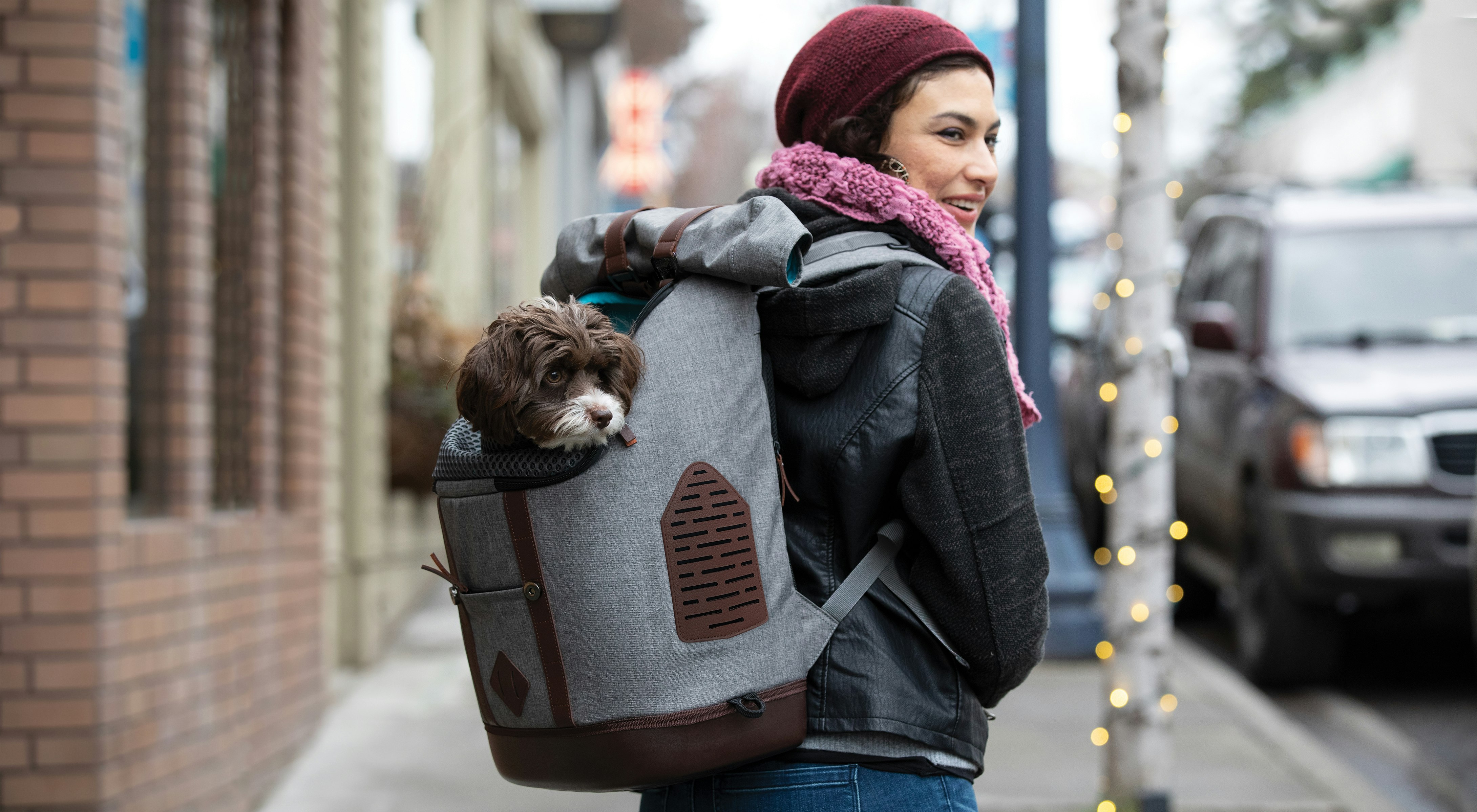 Kurgo K9 Rucksack gallery image