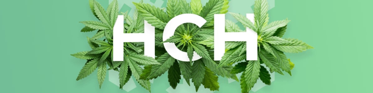 High Country Healing media 1