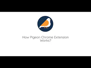 Pigeon gallery image