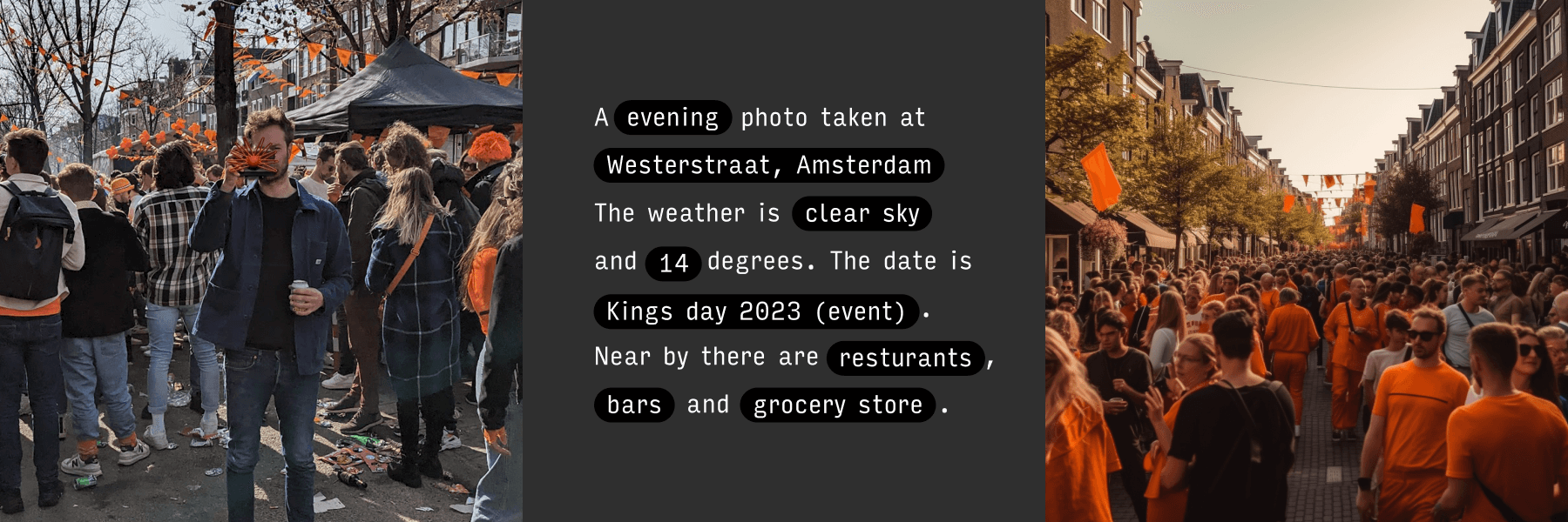 Paragraphica media 6