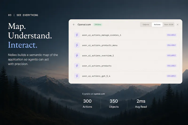 Nelieo NSP screenshot 4