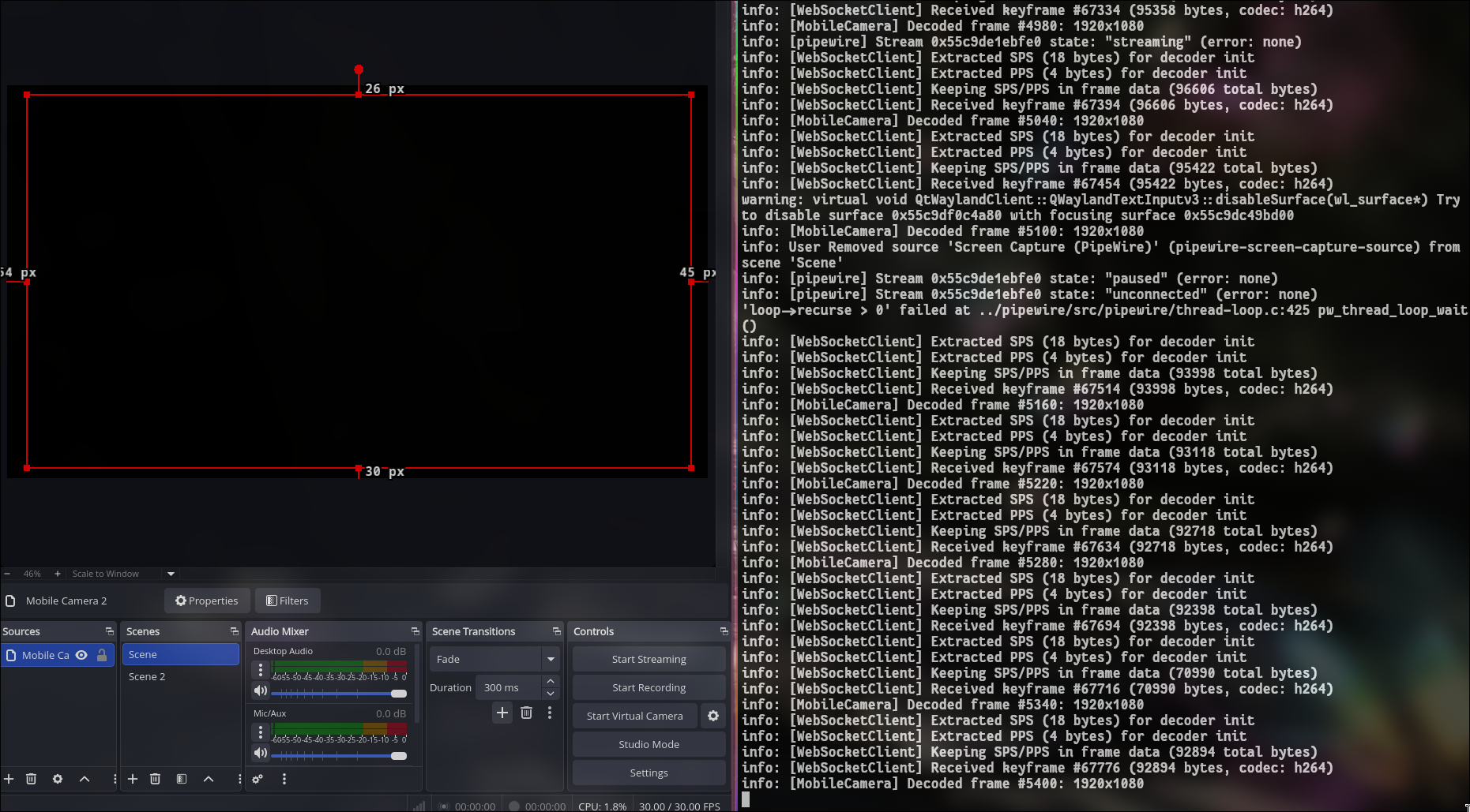StreamBerryLabs - Main product screenshot demonstrating key features and user interface