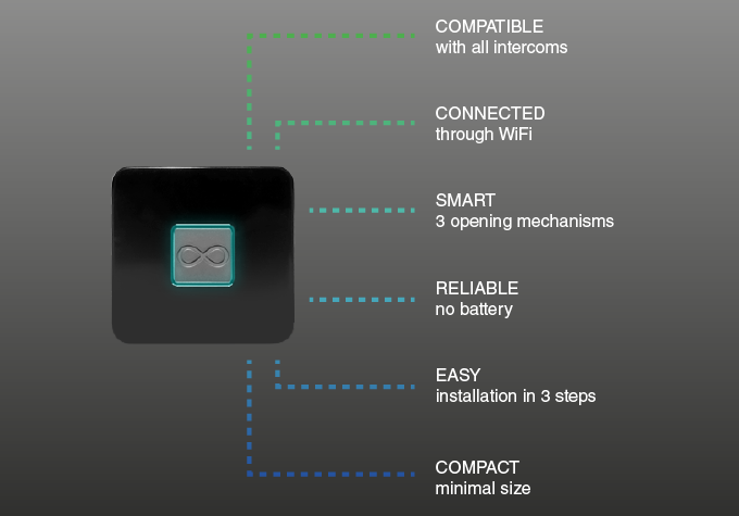 monkey gallery image