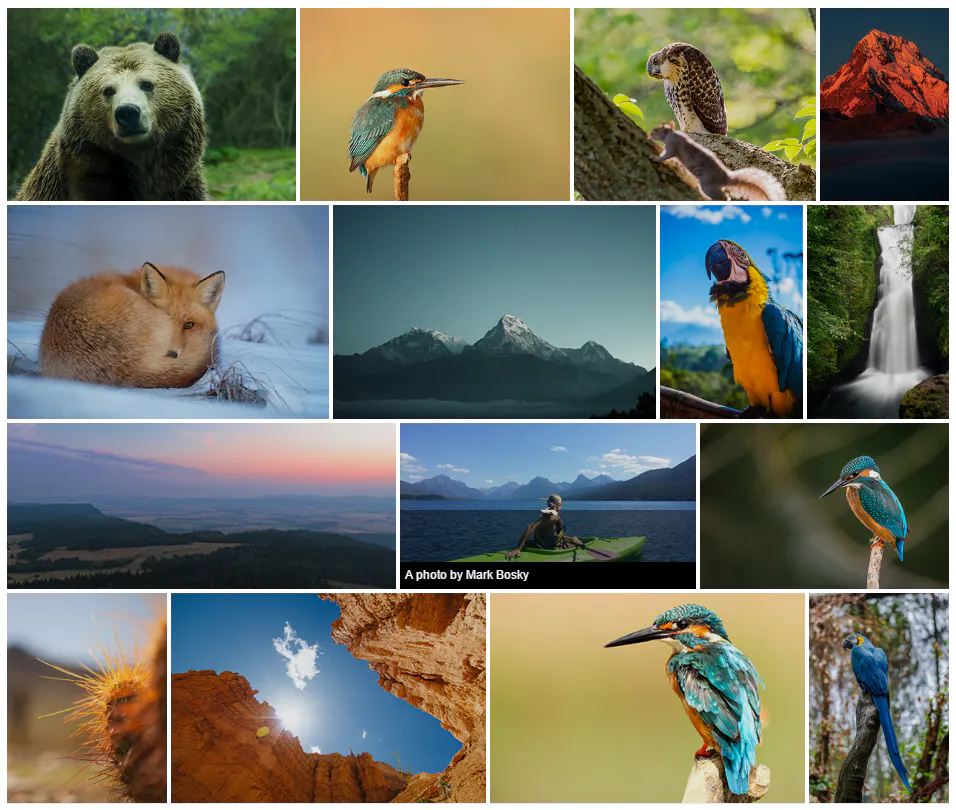 lightGallery WP