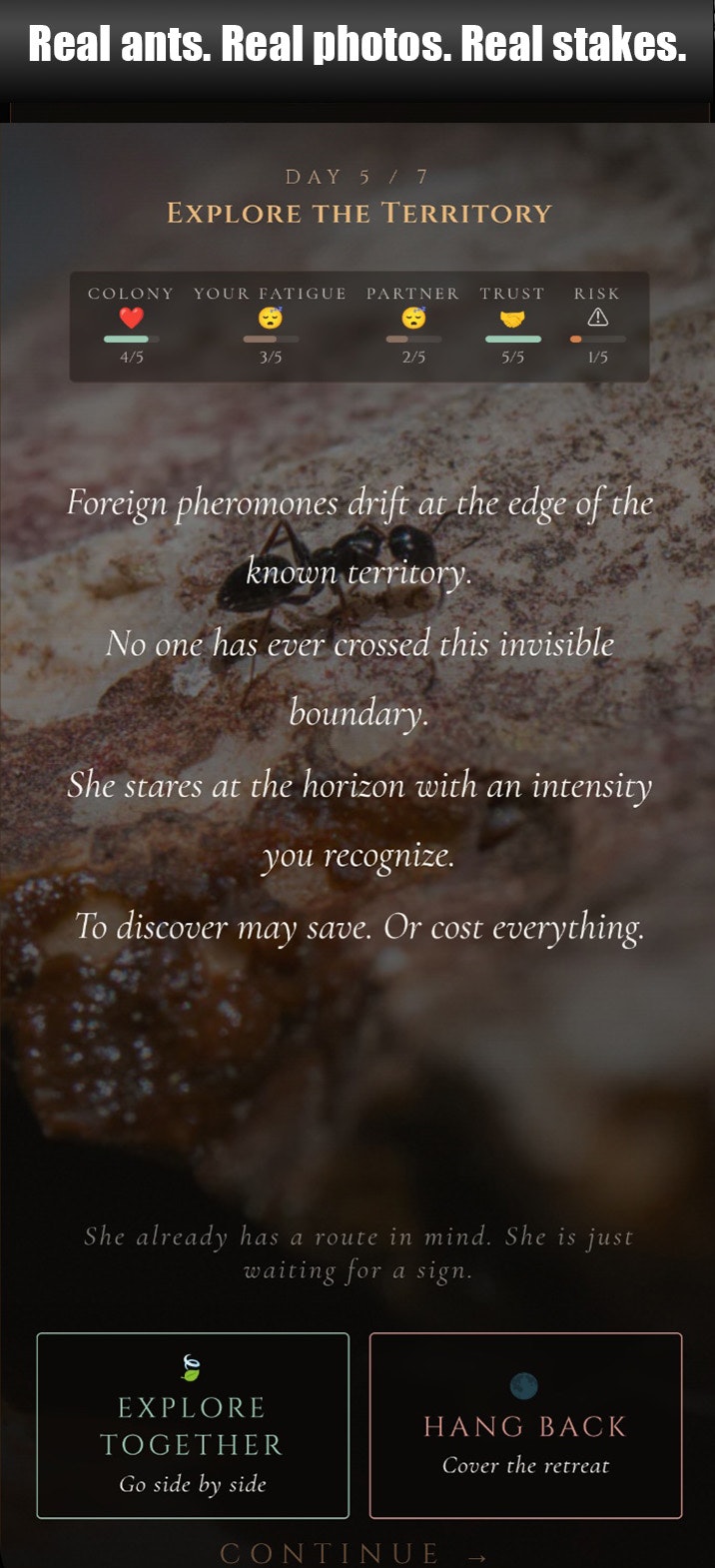 ANTagony – The Ant Prisoner's Dilemma gallery image