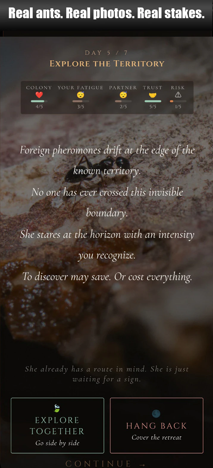 ANTagony – The Ant Prisoner's Dilemma screenshot 2