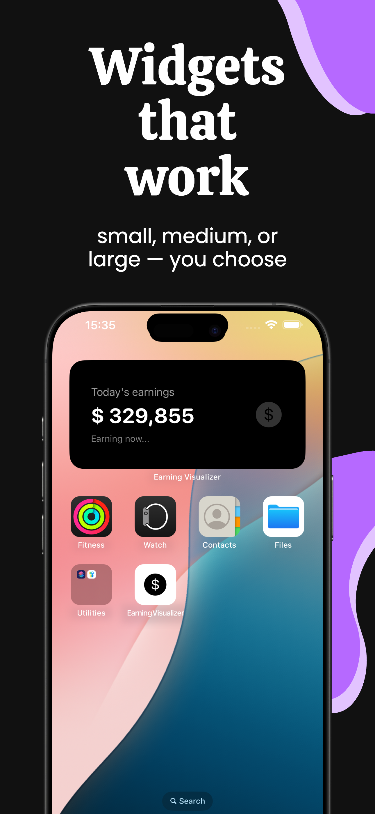 Earning Visualizer gallery image