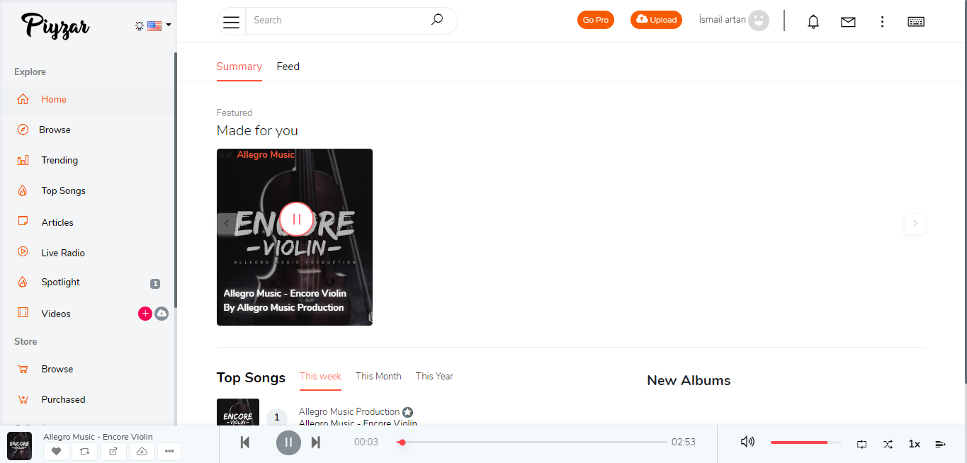 Piyzar - Music Streaming gallery image