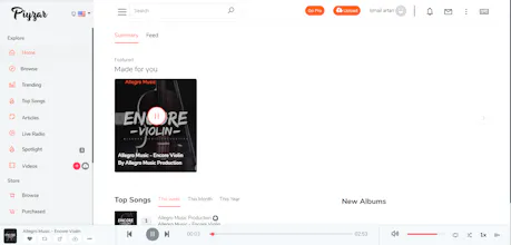 Piyzar - Music Streaming gallery image
