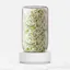 Forages Sprout Jar Kit
