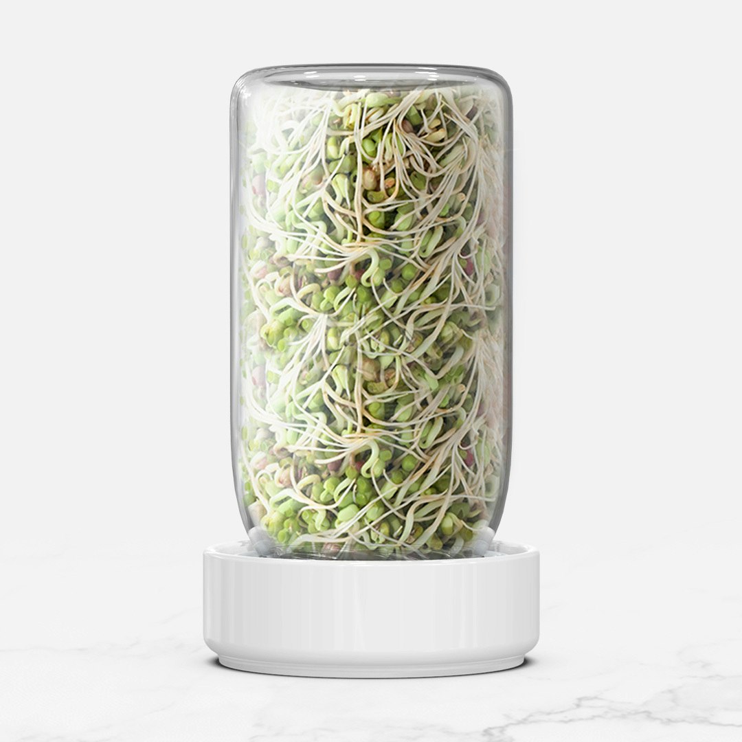 Foerages spruitjar kit