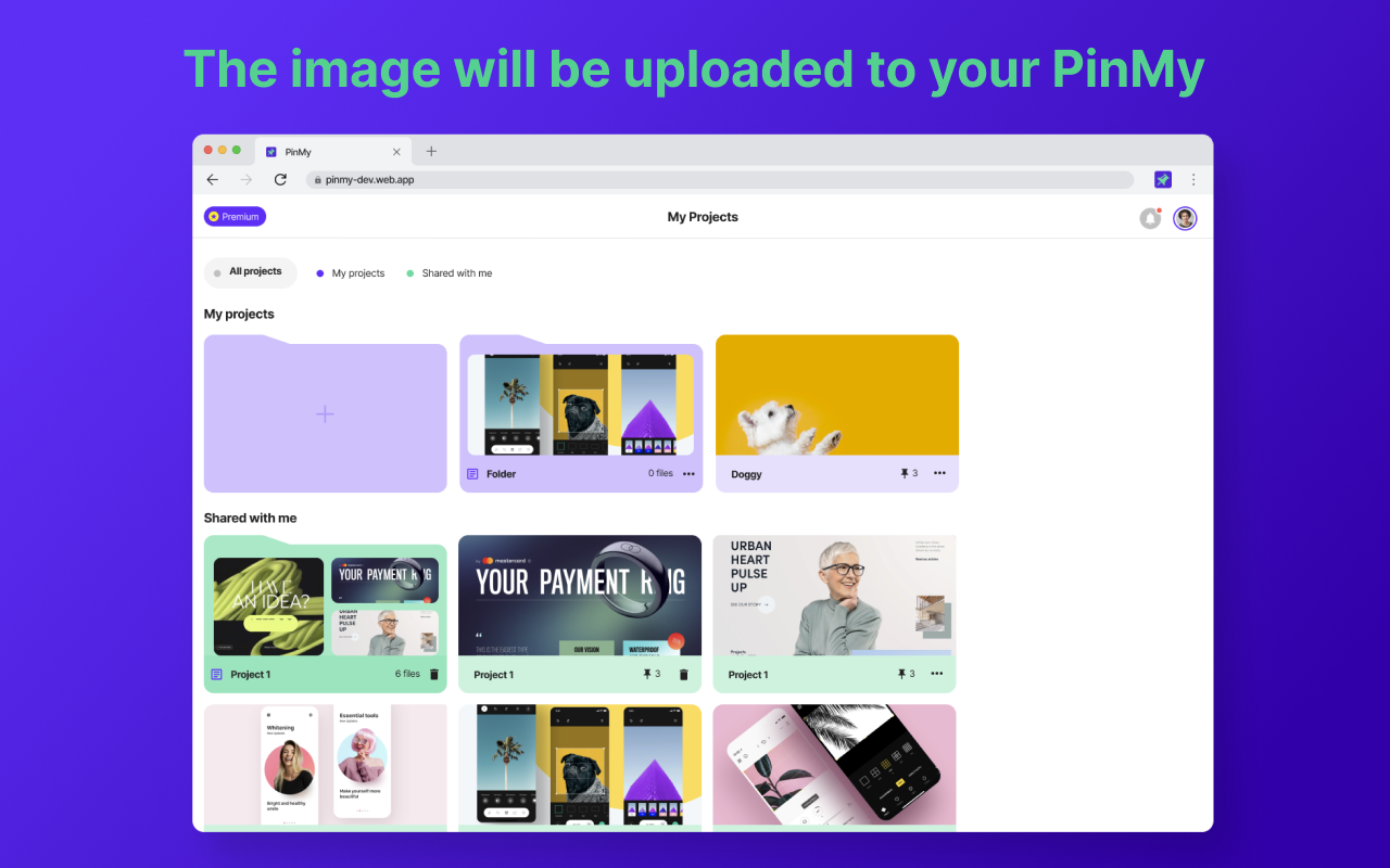 Pinmy media 11