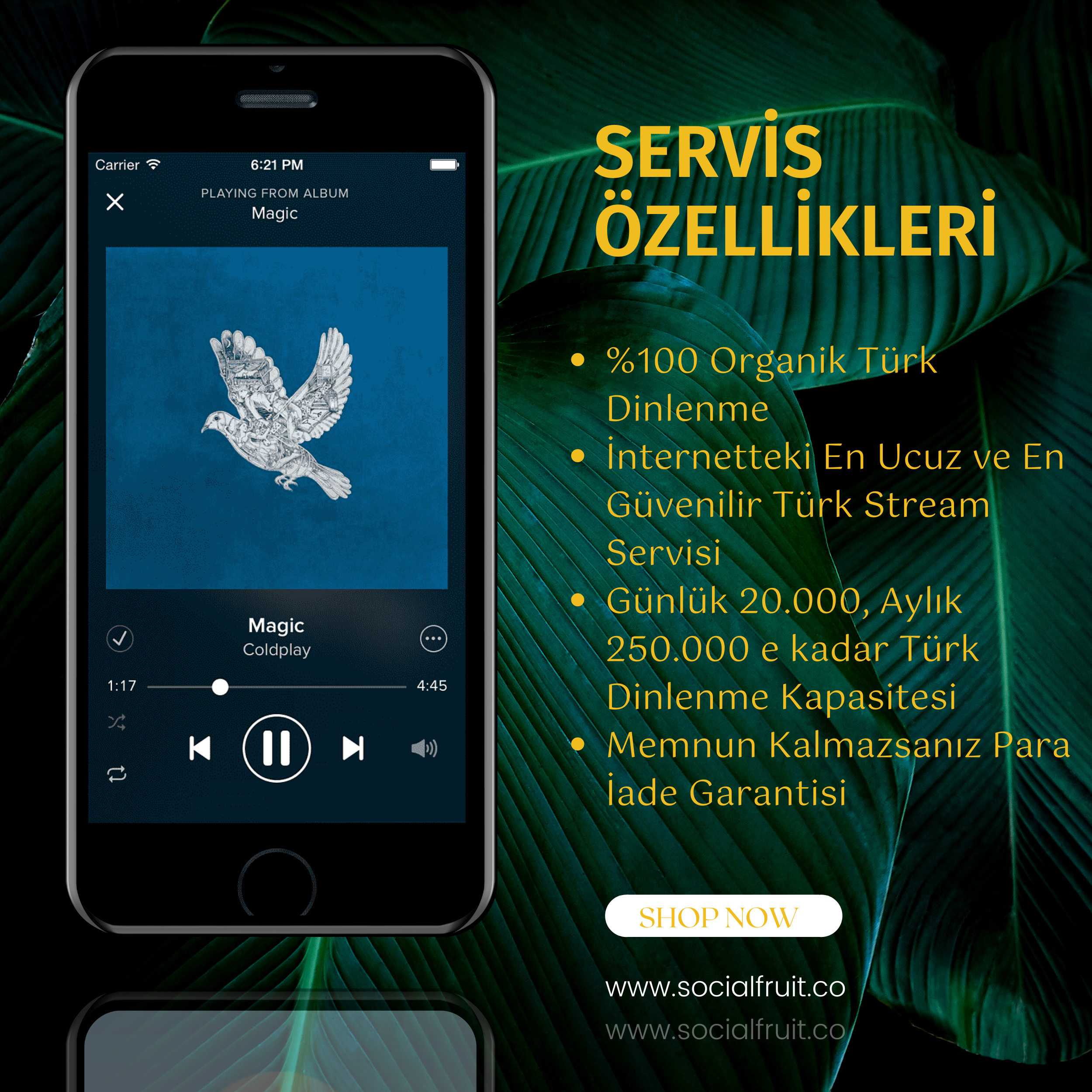 Spotify Stream Booster gallery image