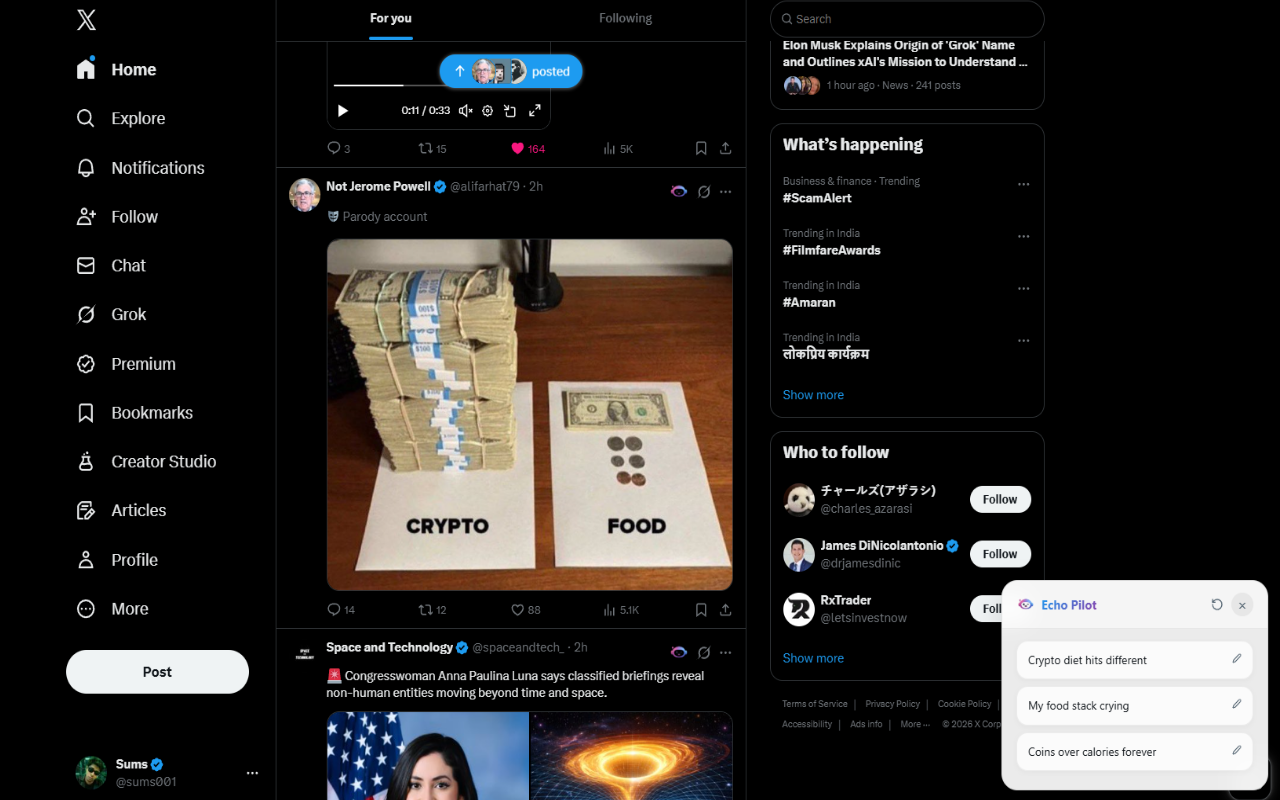 Echo Pilot gallery image