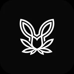 MTimer - Meditate & Measure the results