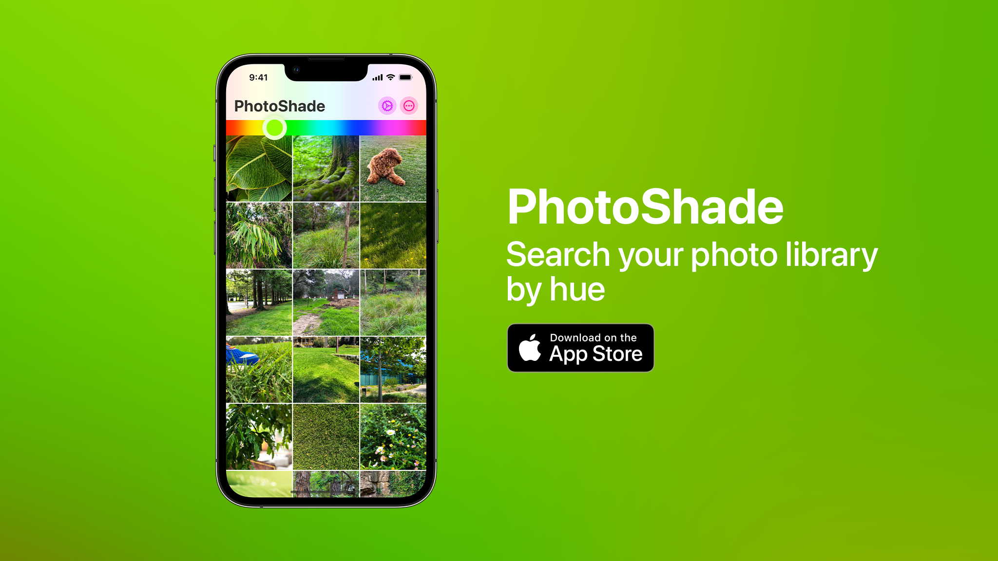 PhotoShade gallery image