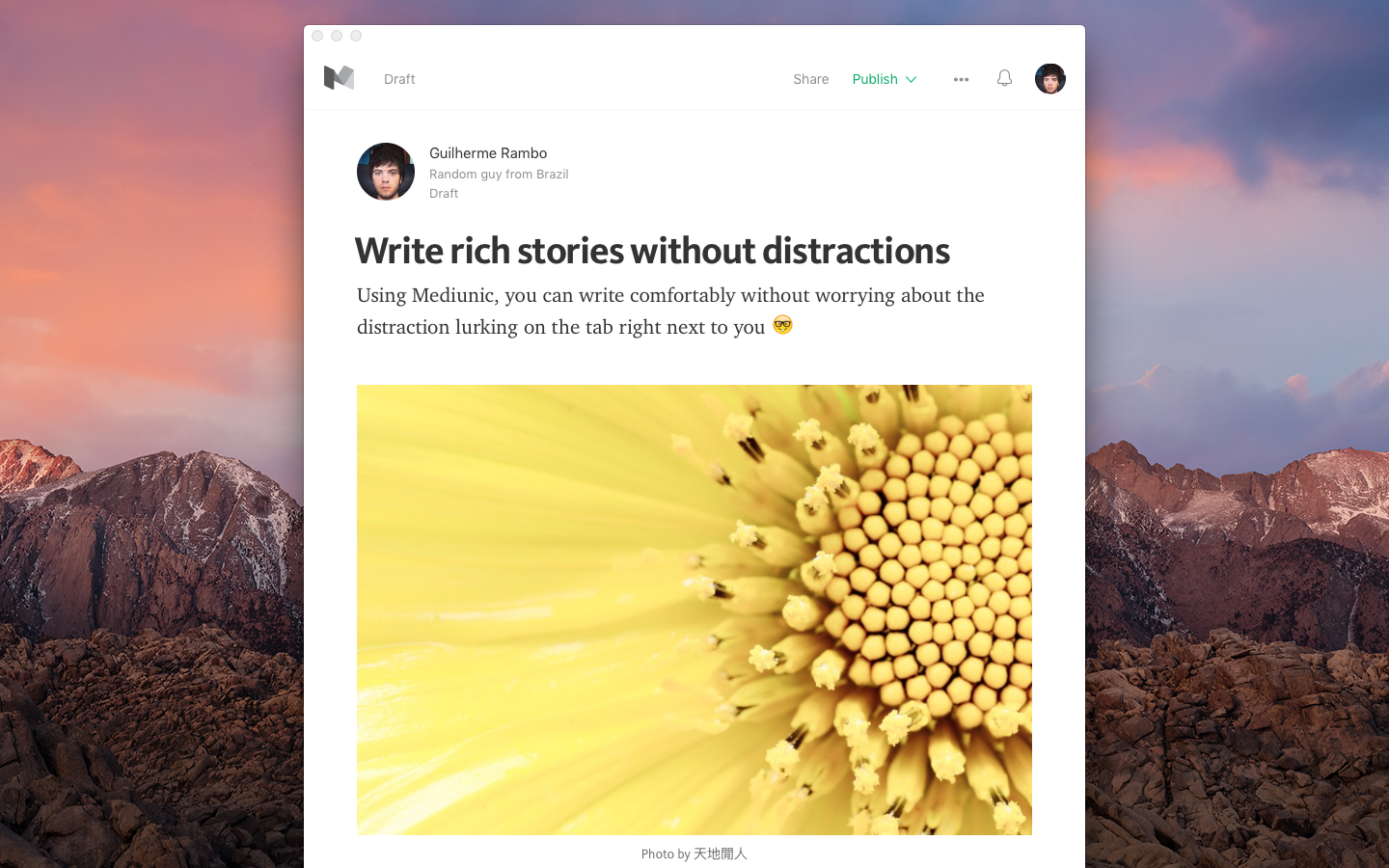 Mediunic gallery image