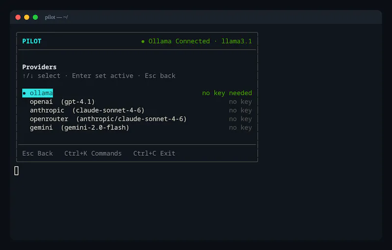 Pilot  screenshot 3
